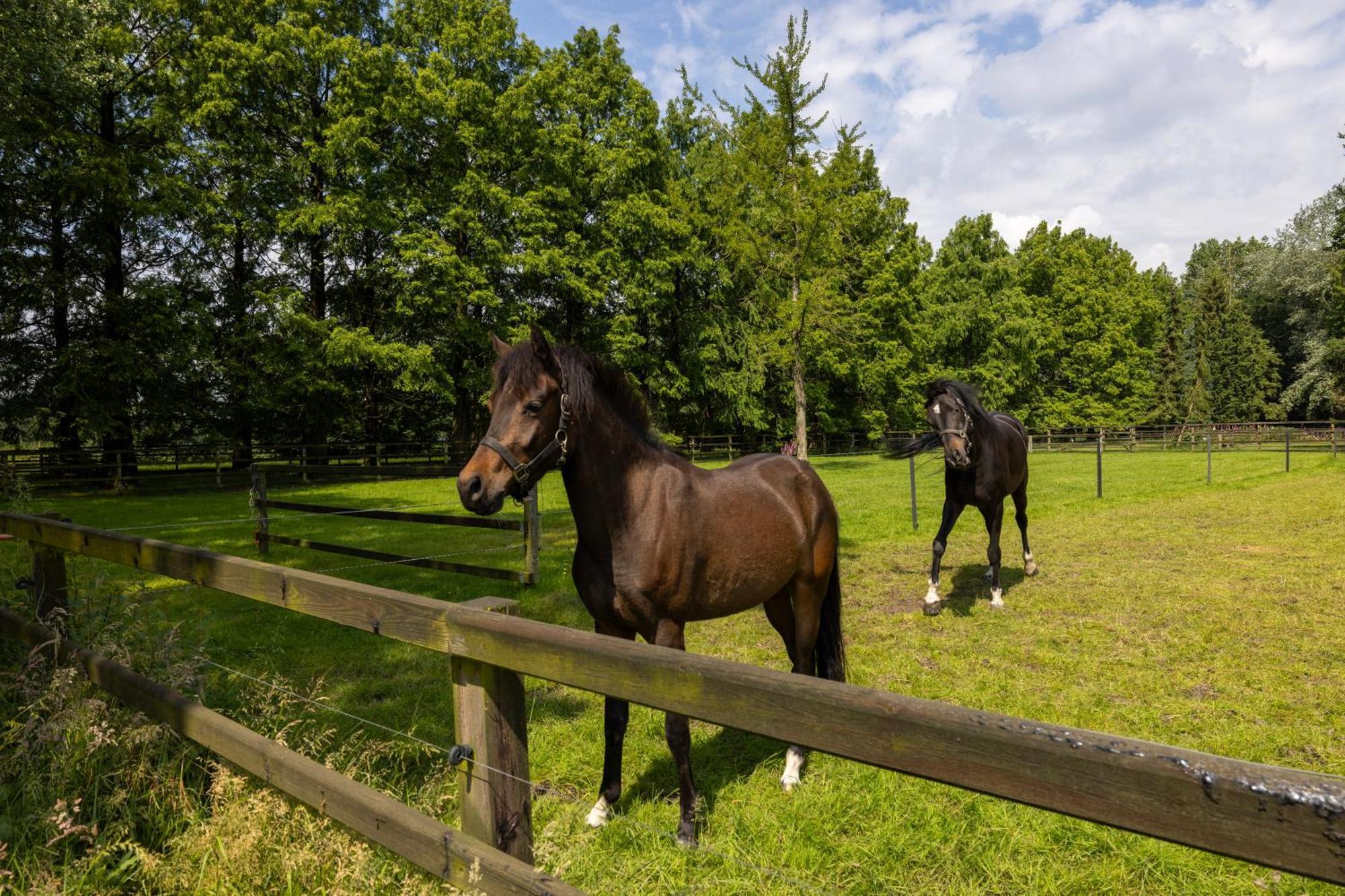 Luxe Hofstede Met Paardenstalling Lunteren Zewnętrze zdjęcie